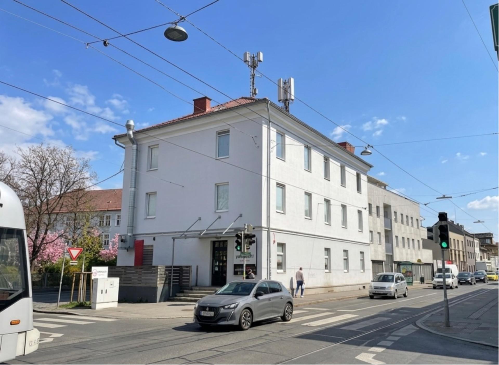 Galeriebild 1