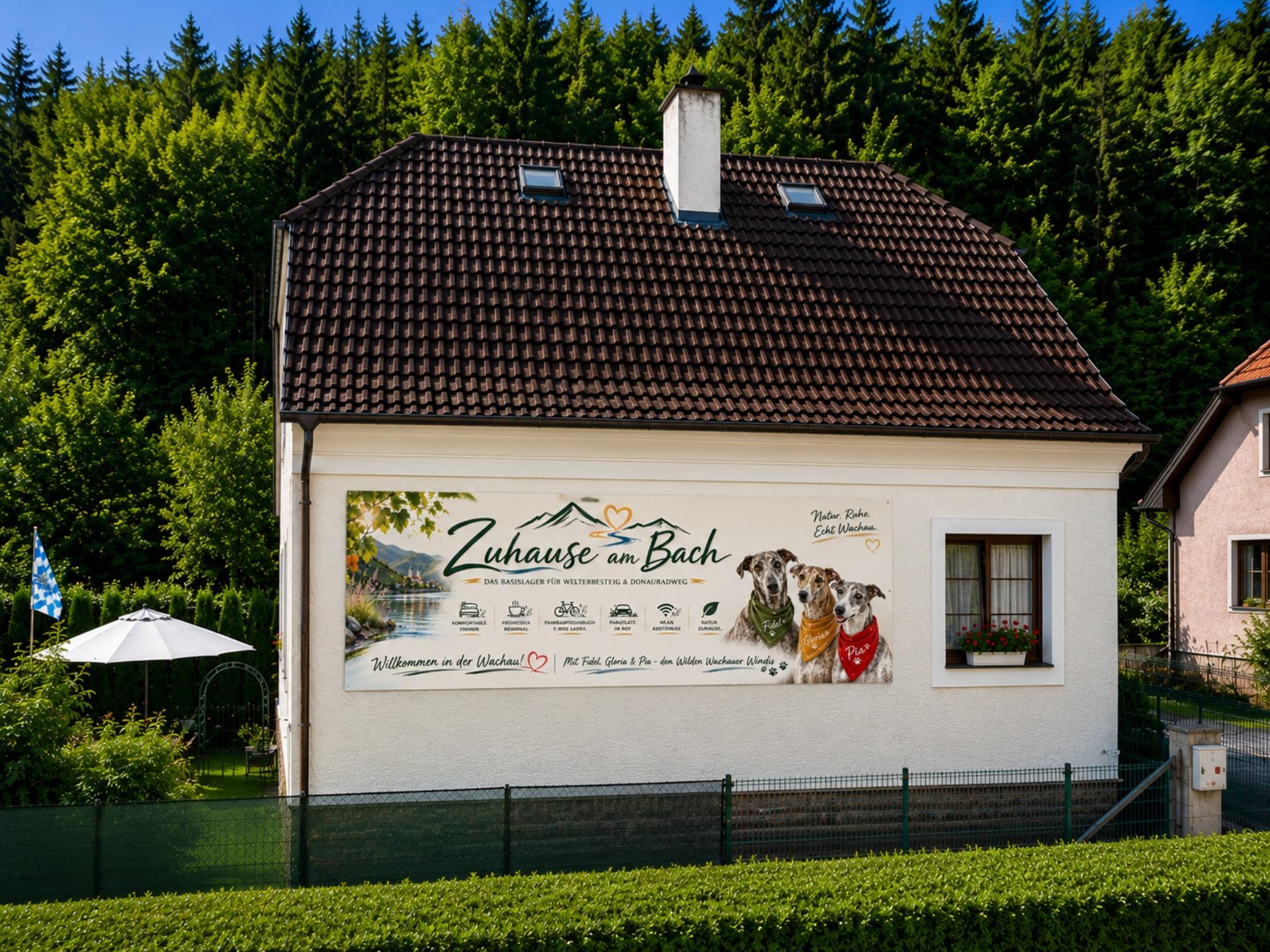 Galeriebild 1